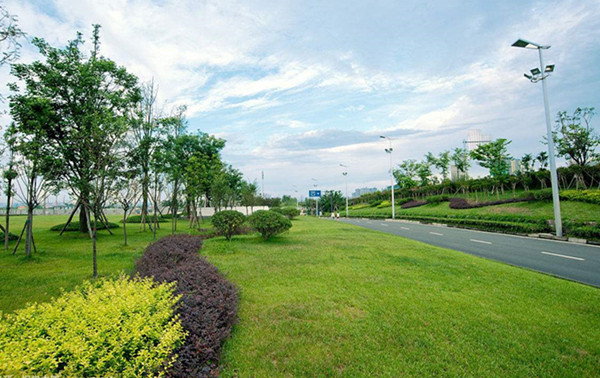 談一談襄陽道路綠化景觀設計的特點有哪些